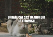 CAT S42 Android 13 Tiramisu Update: Benefits and Step-by-Step Guide