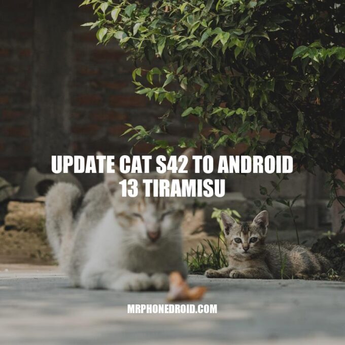 CAT S42 Android 13 Tiramisu Update: Benefits and Step-by-Step Guide