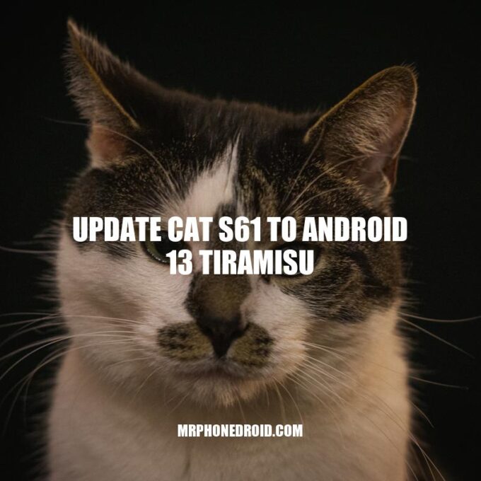 Step-by-Step Guide to Updating CAT S61 to Android 13 Tiramisu
