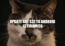 Update CAT S31 to Android 13: A Comprehensive Guide.
